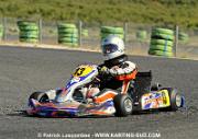 DSC_7234 copie